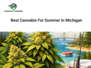 Best Cannabis for Summer in Michigan