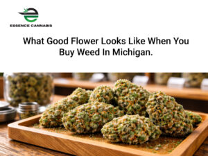 What Good Flower Looks Like in Michigan Dispensaries